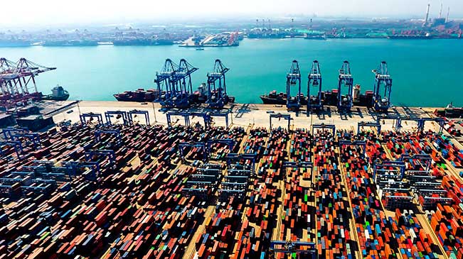 2025年4月进口棉花约6万吨 环同比双降
