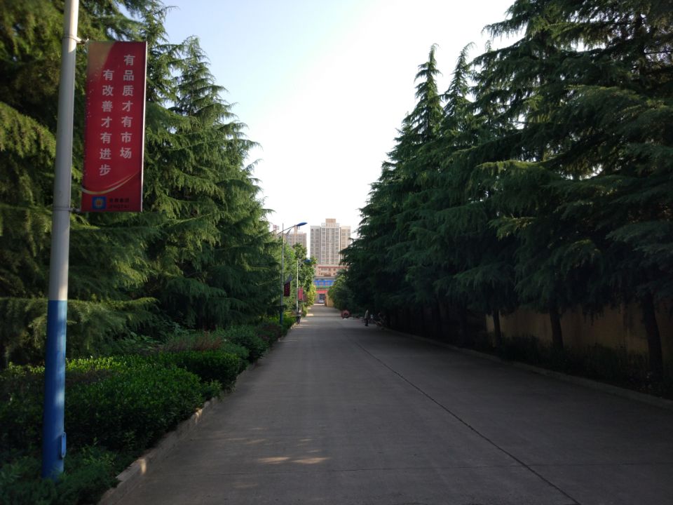 QQ图片20170722104441.jpg