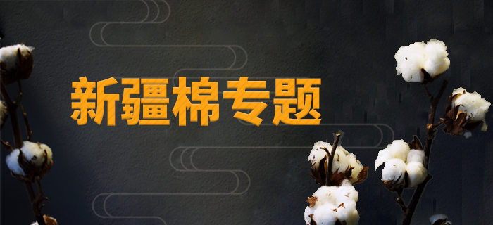 新疆棉专题